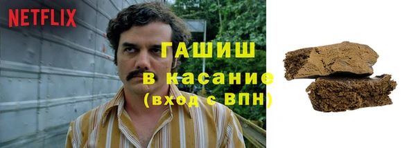 ПСИЛОЦИБИНОВЫЕ ГРИБЫ Горняк