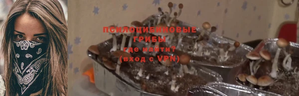 гидропоника Алексин